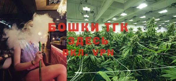 соль ск Алексин