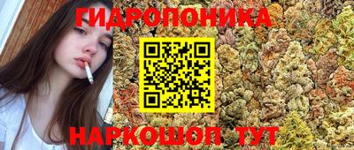 прущий лед Заводоуковск