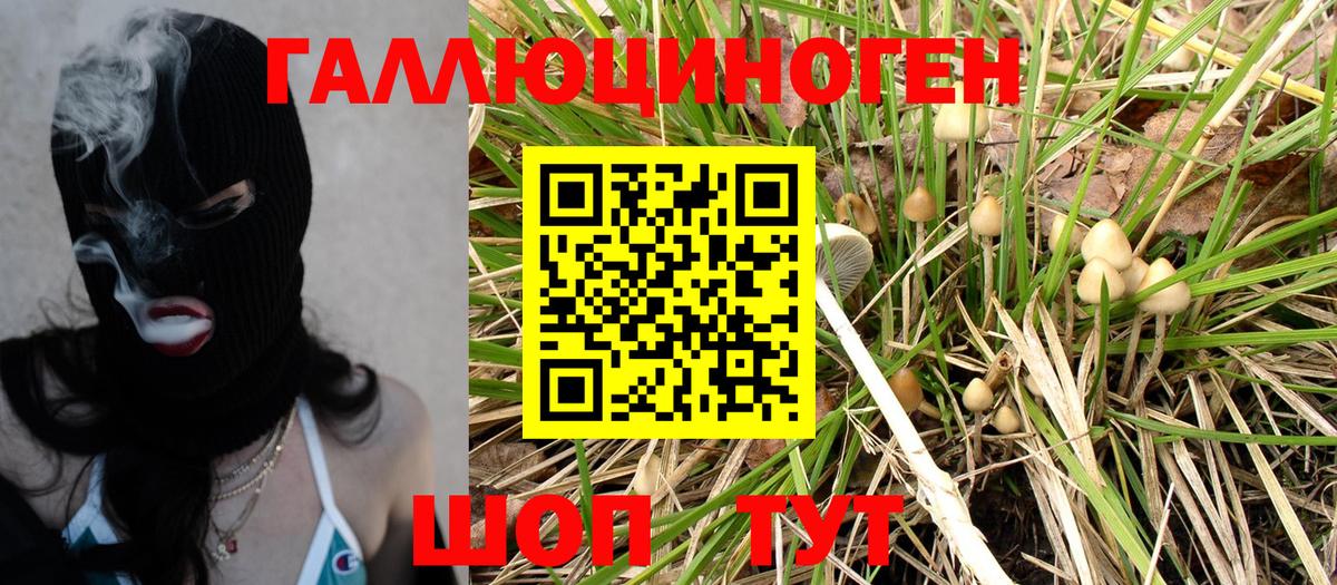 Галлюциногенные грибы Magic Shrooms Моздок