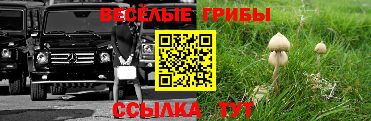 Моздок  магазин    Псилоцибиновые грибы GOLDEN TEACHER  Вход с VPN  Псилоцибиновые грибы мухоморы 